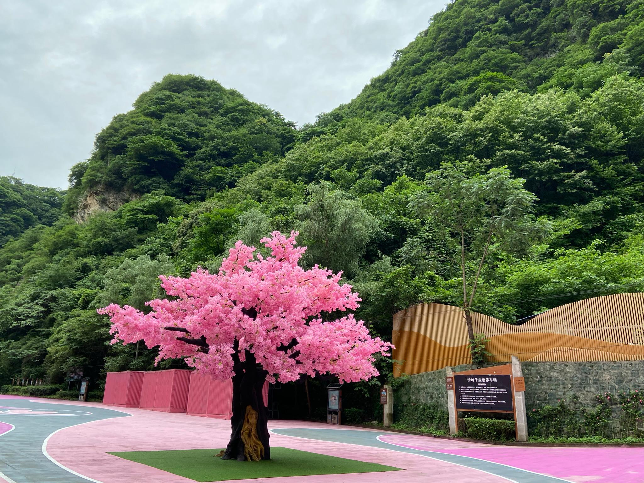 Tree at the entrance of the scenic area