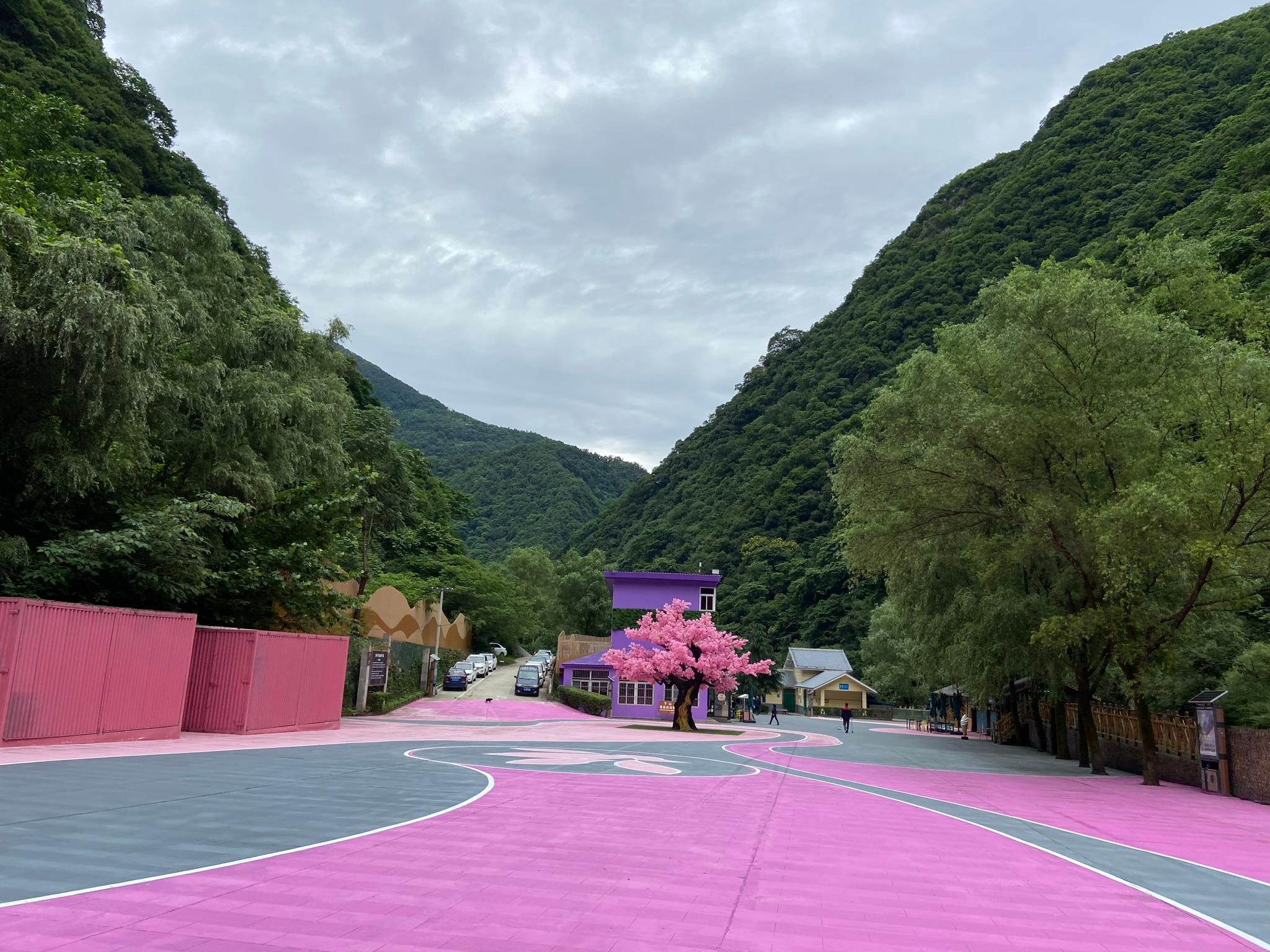 Road leading into the scenic area